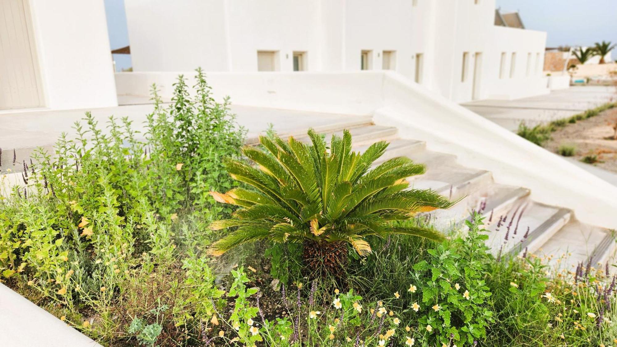Hayal Suites Santorini Εμπορειό Εξωτερικό φωτογραφία